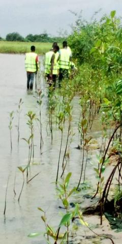 berges des îles Guin