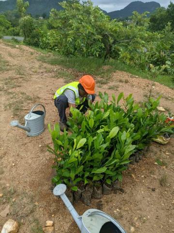 Parlant de la conservation de la biodiversité, nous quittons l'étape des discours pour passer aux actions concrètes. Voici une photo d'un jeune engagé dans la protection de l'environnement.